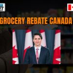 Next Grocery Rebate Canada 2024