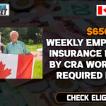 $650 Weekly Employment Insurance Payment By CRA Work Hours Required In 2024