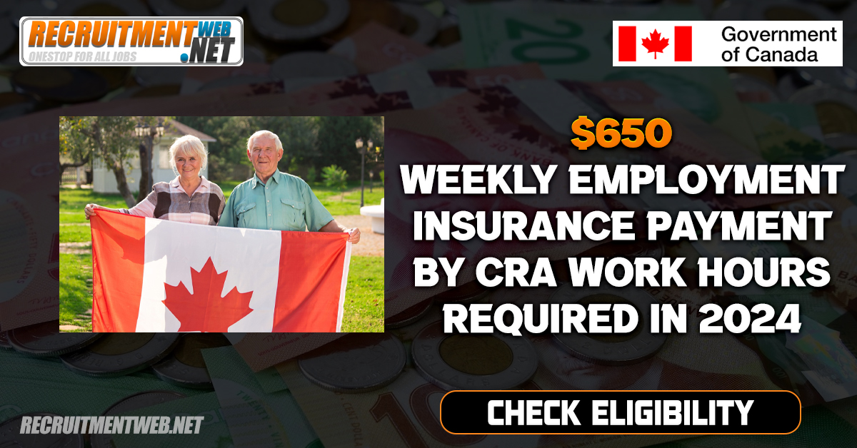 $650 Weekly Employment Insurance Payment By CRA Work Hours Required In 2024